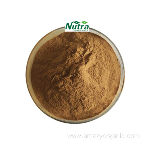 organic reishi mushroom extract powder capsules